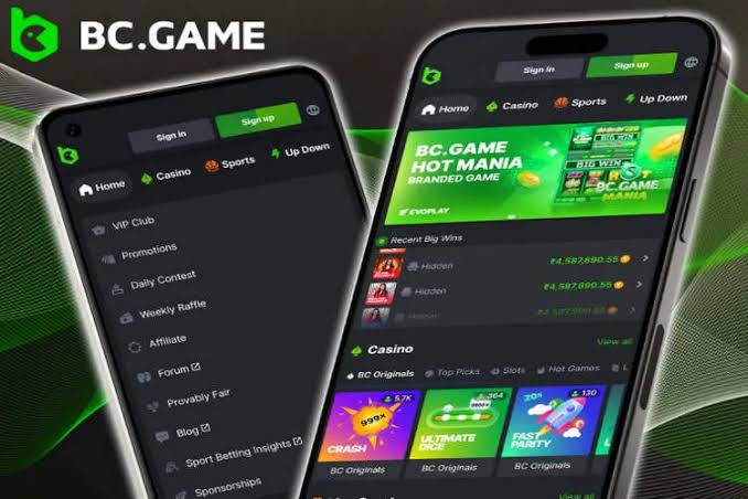 Explore the Excitement of BC Fun Crypto Casino